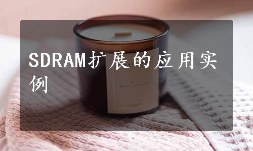 SDRAM扩展的应用实例