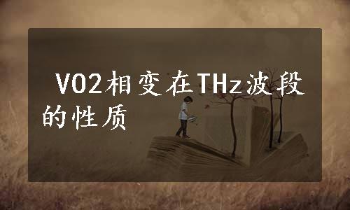  VO2相变在THz波段的性质