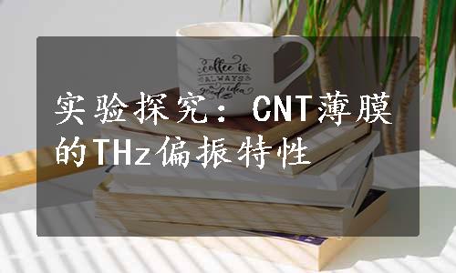 实验探究：CNT薄膜的THz偏振特性