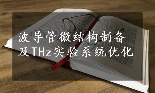 波导管微结构制备及THz实验系统优化