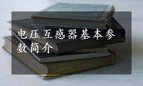 电压互感器基本参数简介