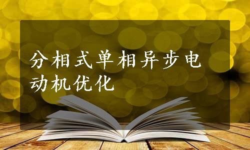 分相式单相异步电动机优化