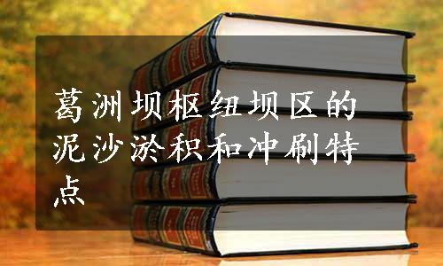 葛洲坝枢纽坝区的泥沙淤积和冲刷特点