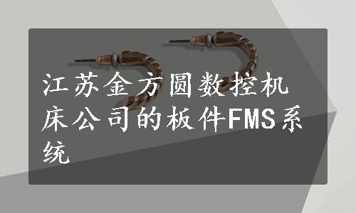 江苏金方圆数控机床公司的板件FMS系统