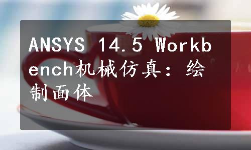 ANSYS 14.5 Workbench机械仿真：绘制面体