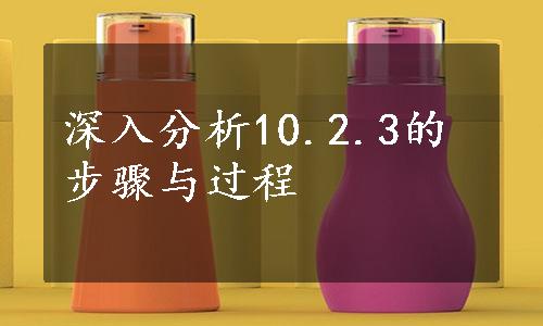 深入分析10.2.3的步骤与过程