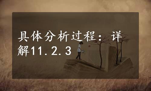 具体分析过程：详解11.2.3