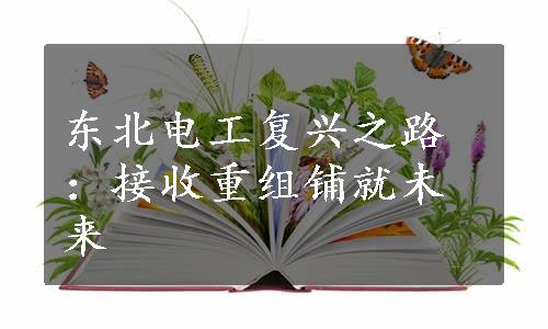 东北电工复兴之路：接收重组铺就未来