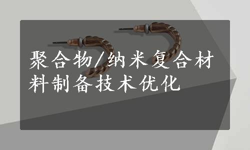 聚合物/纳米复合材料制备技术优化