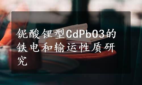 铌酸锂型CdPbO3的铁电和输运性质研究