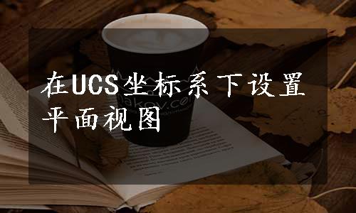 在UCS坐标系下设置平面视图