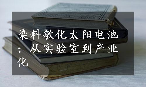 染料敏化太阳电池：从实验室到产业化