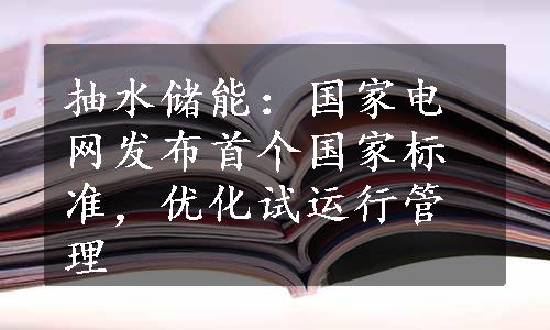 抽水储能：国家电网发布首个国家标准，优化试运行管理