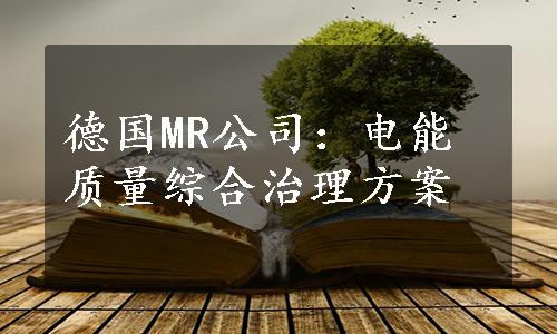 德国MR公司：电能质量综合治理方案