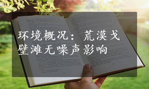 环境概况：荒漠戈壁滩无噪声影响