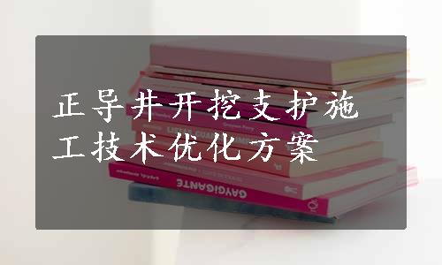 正导井开挖支护施工技术优化方案