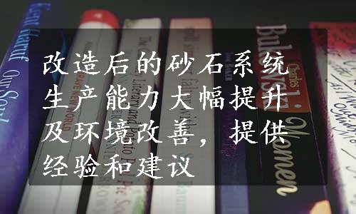 改造后的砂石系统生产能力大幅提升及环境改善，提供经验和建议