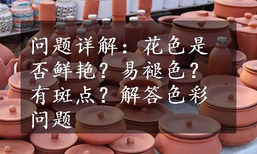 问题详解：花色是否鲜艳？易褪色？有斑点？解答色彩问题