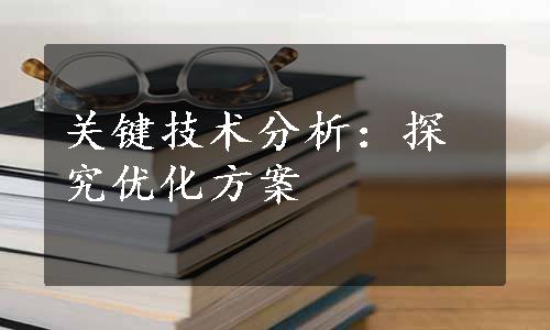 关键技术分析：探究优化方案