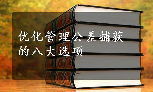 优化管理公差捕获的八大选项