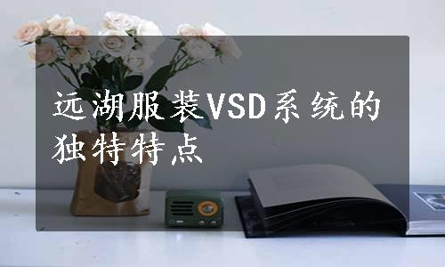 远湖服装VSD系统的独特特点