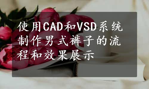 使用CAD和VSD系统制作男式裤子的流程和效果展示