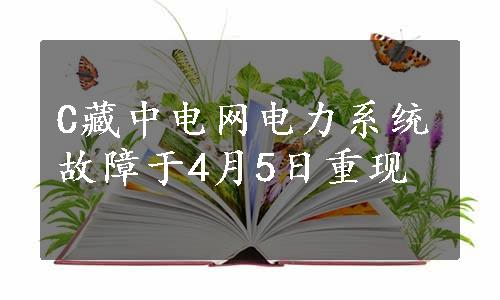 C藏中电网电力系统故障于4月5日重现