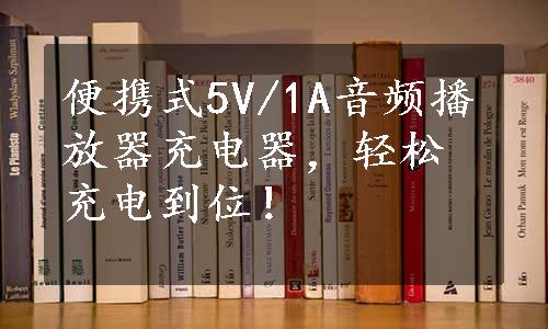 便携式5V/1A音频播放器充电器，轻松充电到位！