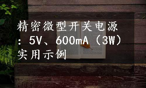 精密微型开关电源：5V、600mA（3W）实用示例