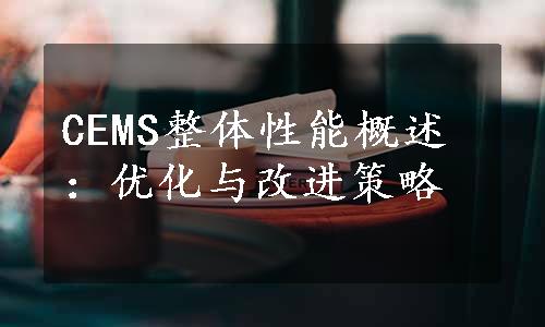 CEMS整体性能概述：优化与改进策略