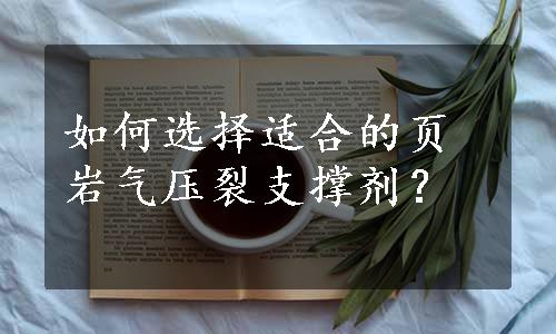 如何选择适合的页岩气压裂支撑剂？