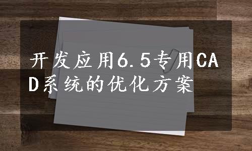 开发应用6.5专用CAD系统的优化方案