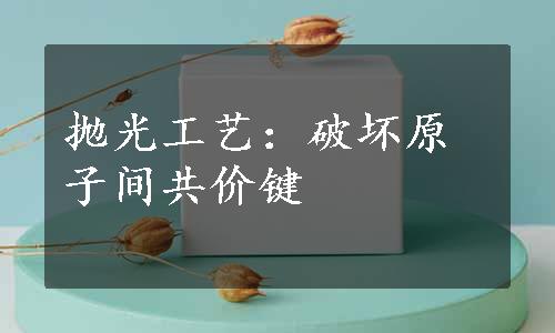 抛光工艺：破坏原子间共价键