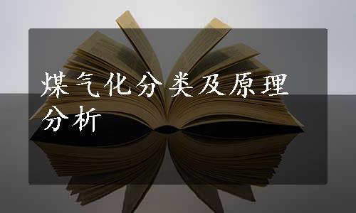 煤气化分类及原理分析