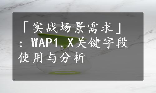 「实战场景需求」：WAP1.X关键字段使用与分析