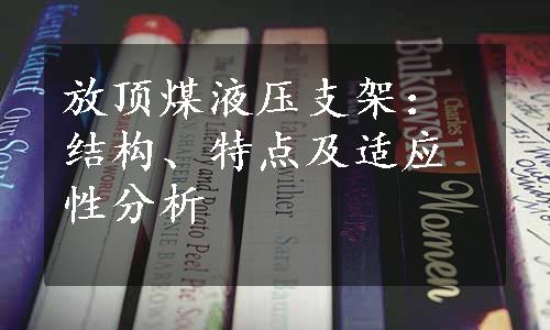 放顶煤液压支架：结构、特点及适应性分析