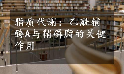 脂质代谢：乙酰辅酶A与鞘磷脂的关键作用