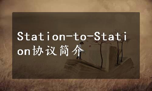 Station-to-Station协议简介