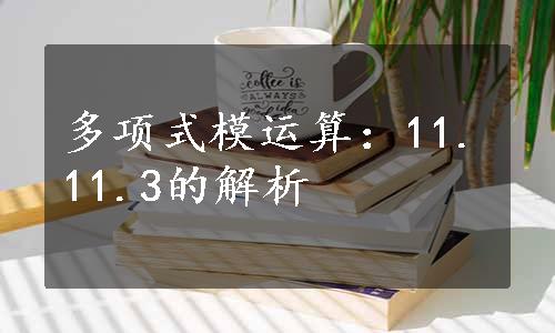 多项式模运算：11.11.3的解析