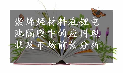 聚烯烃材料在锂电池隔膜中的应用现状及市场前景分析