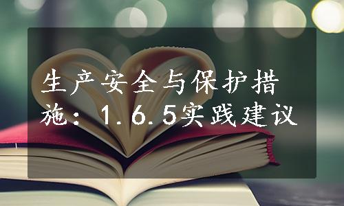 生产安全与保护措施：1.6.5实践建议