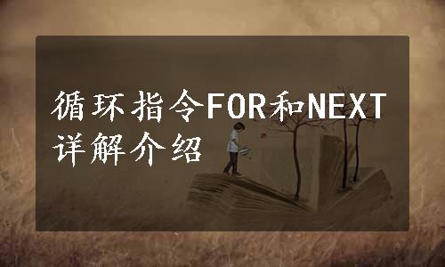 循环指令FOR和NEXT详解介绍