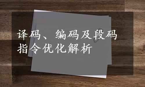 译码、编码及段码指令优化解析