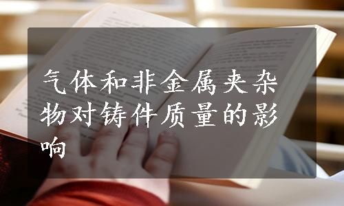 气体和非金属夹杂物对铸件质量的影响