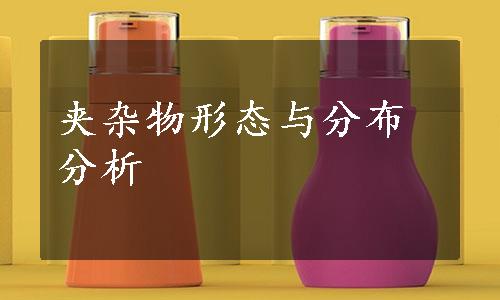 夹杂物形态与分布分析