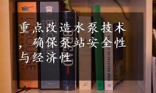 重点改造水泵技术，确保泵站安全性与经济性