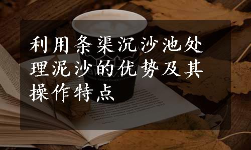 利用条渠沉沙池处理泥沙的优势及其操作特点