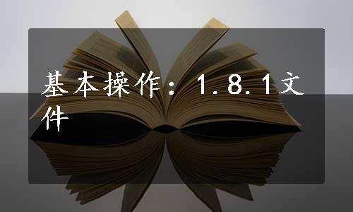 基本操作：1.8.1文件