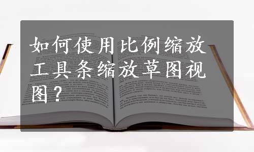 如何使用比例缩放工具条缩放草图视图？