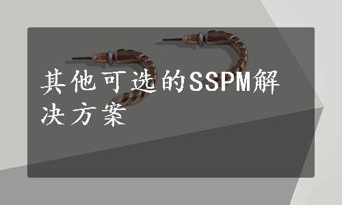 其他可选的SSPM解决方案